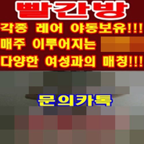 빨간방'을 아십니까?…음란물 공유 단톡방 '충격' - 노컷뉴스