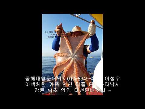 서울근교 당일치기 회사워크샵장소 속초 설악산 양양 단체펜션 9월 워크숍 속초바다낚시 - Youtube