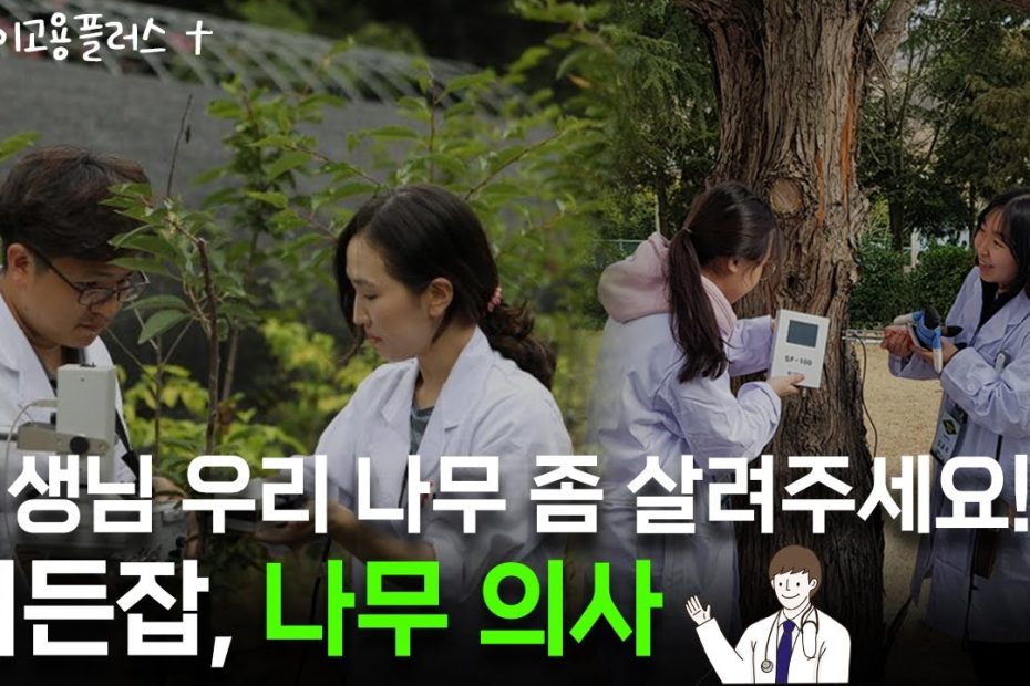 박하윤 아나운서] 나무도 아프면 치료를 한다? | 히든잡, 나무의사 - Youtube