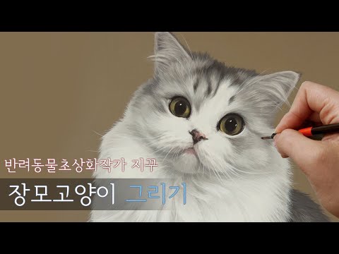 고양이그림/반려동물초상화/How to draw a Persian cat/pet portrait