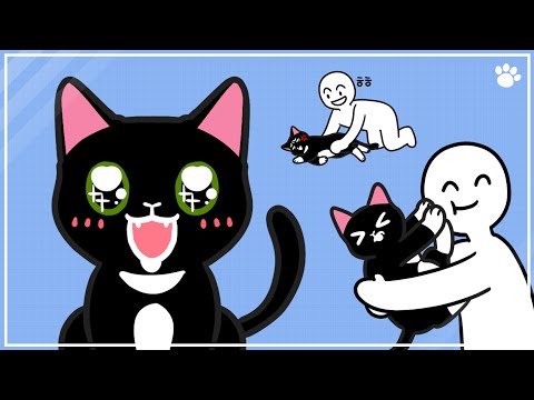 고양이가 미워하는 사람들의 특징 7가지