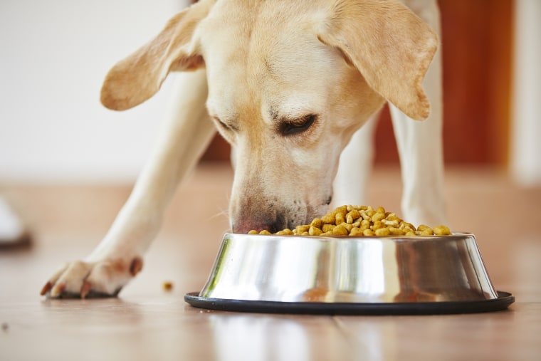 Fda Names 16 Brands Of Dog Food Linked To Canine Heart Disease