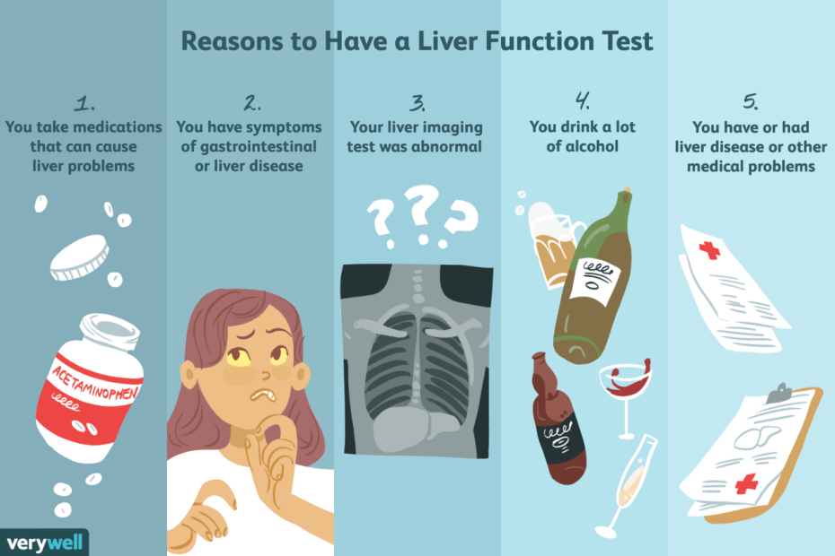 what-causes-poor-liver-function-uncovering-the-culprits