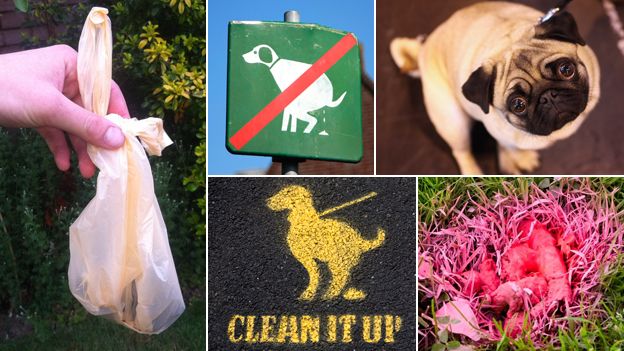 Eight Radical Solutions To The Problem Of Dog Mess - Bbc News