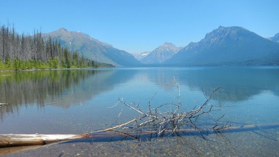 Fish Creek Campground - Updated 2023 Reviews (Glacier National Park,  Montana)