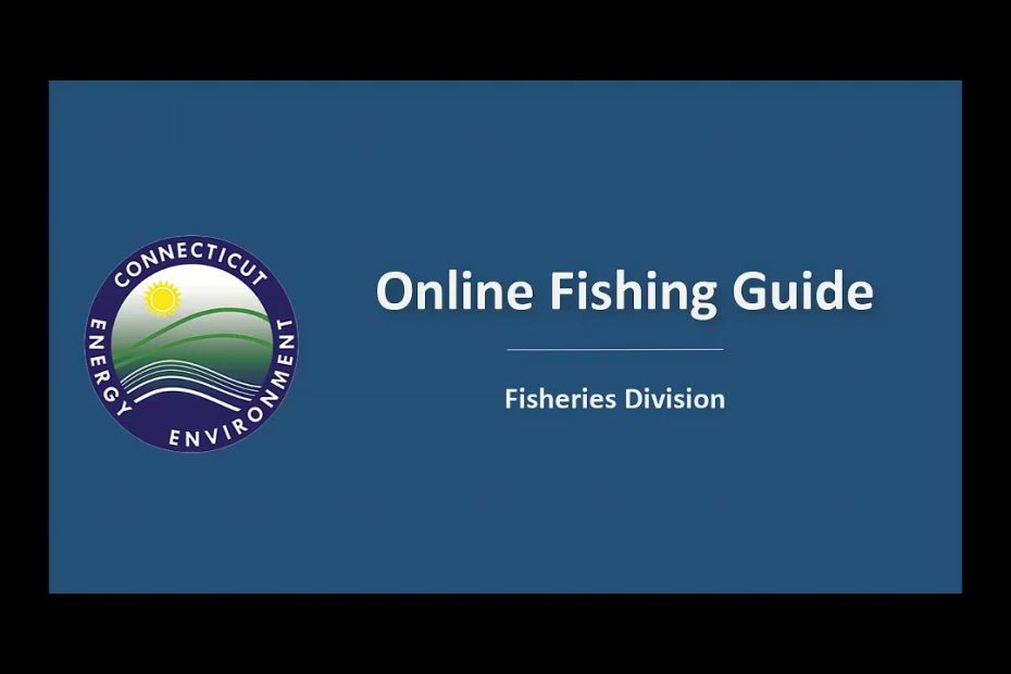 How Much Does A Ct Fishing License Cost? Your Guide To Pricing