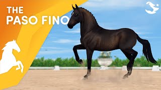 The Powerful Paso Fino | Star Stable