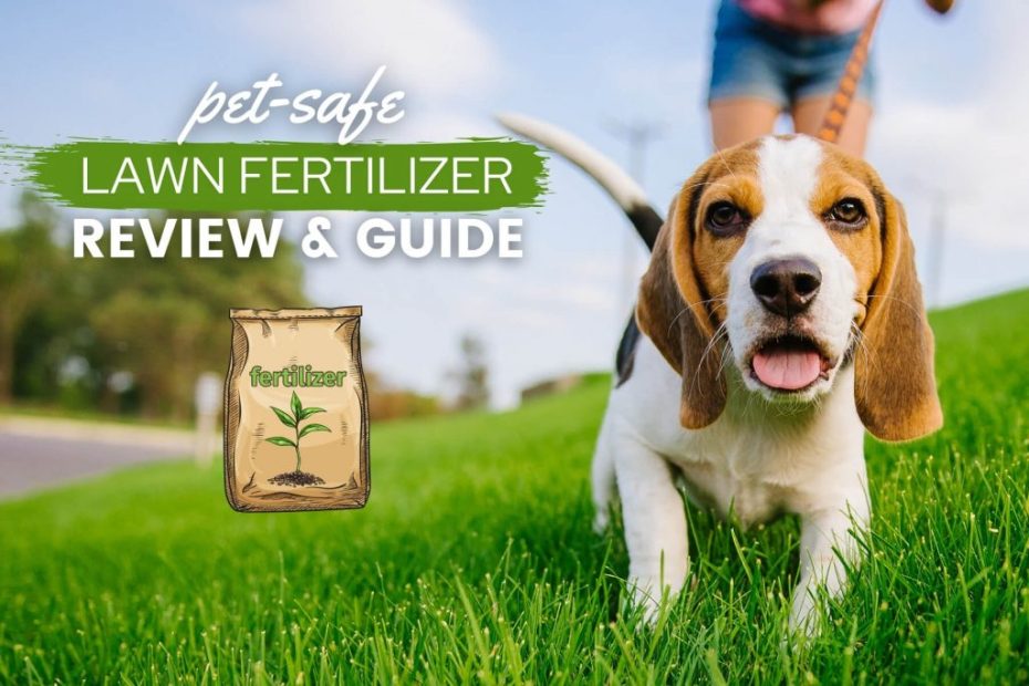 Is Lawn Fertilizer Safe For Dogs? Will It Hurt My Dog? - Canine Bible