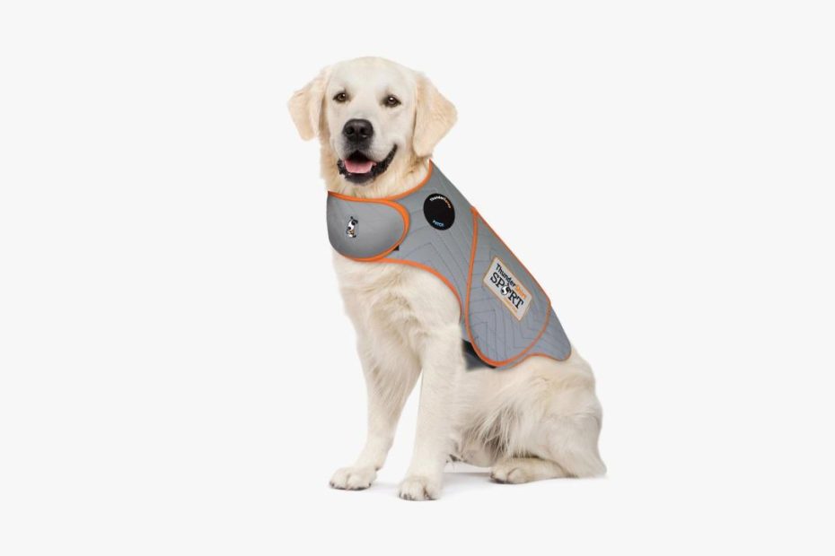 Do Thundershirts Really Calm Dogs During Fireworks? | Wired