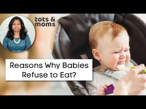 Reasons why Babies Refuse to Eat?